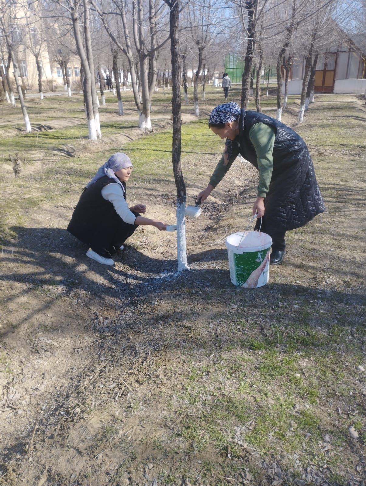 Таза Қазақстан» экологиялық акциясы