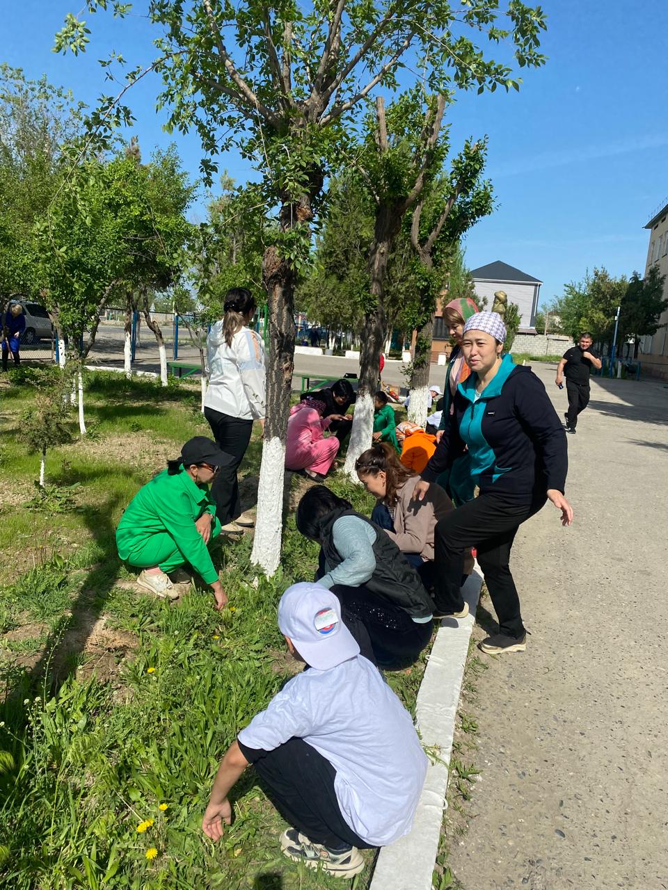 🌳🌱“Түлектердің ағаш егуі”🌳