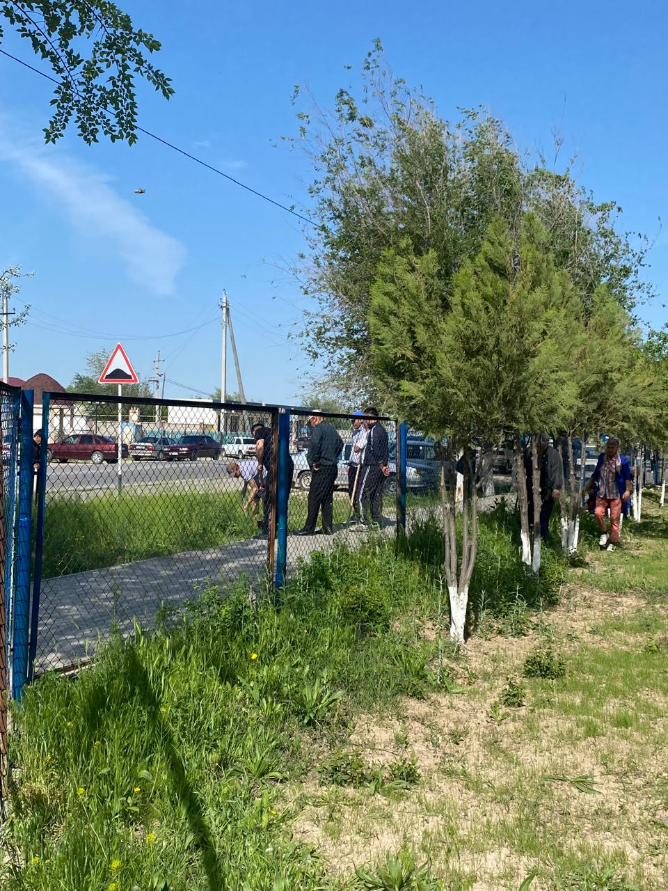 🌳🌱“Түлектердің ағаш егуі”🌳