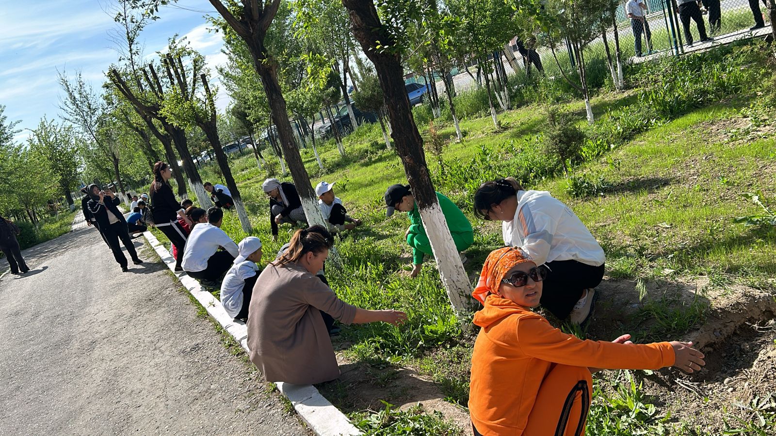 🌳🌱“Түлектердің ағаш егуі”🌳