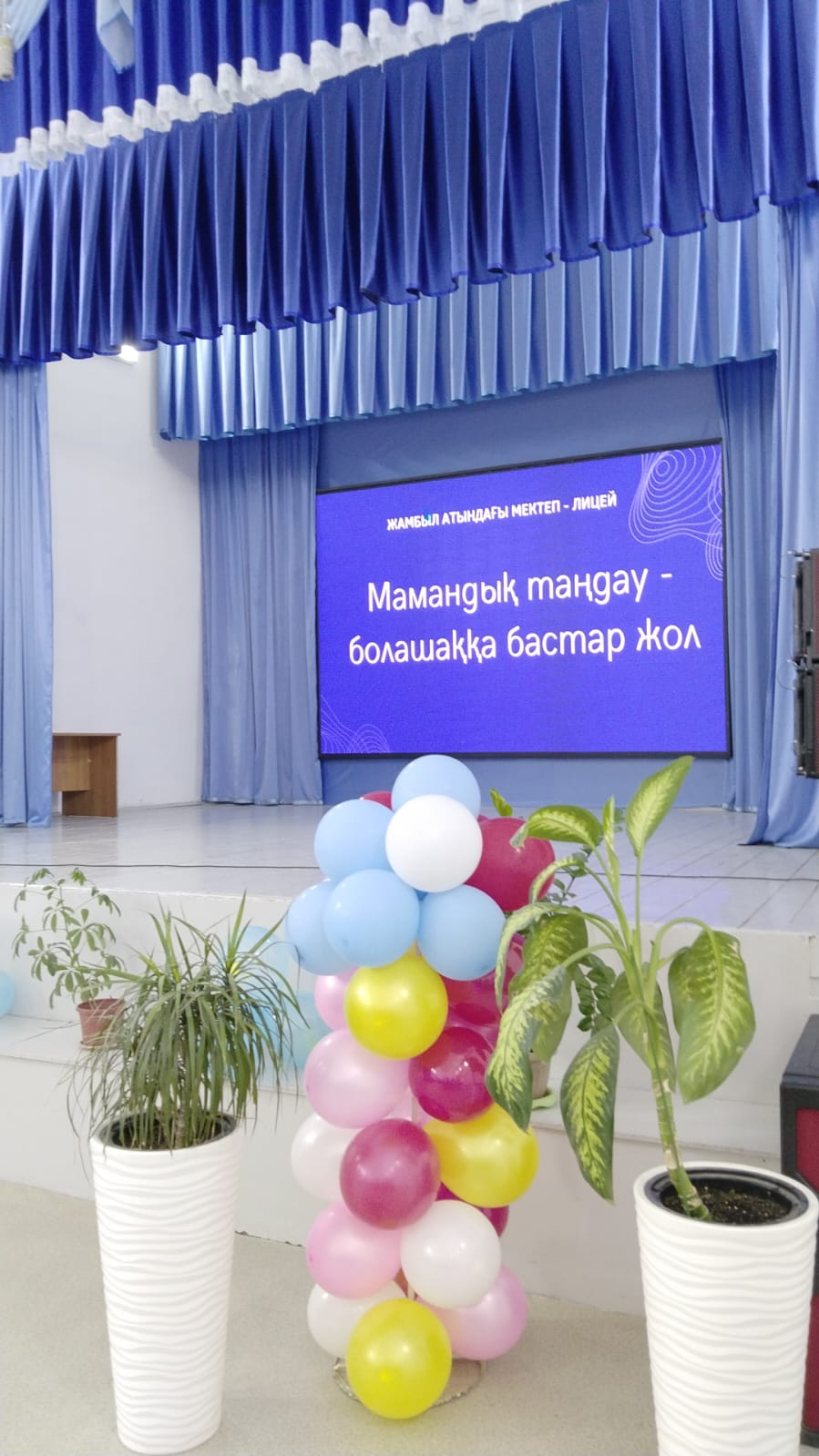 Мамандық таңдау