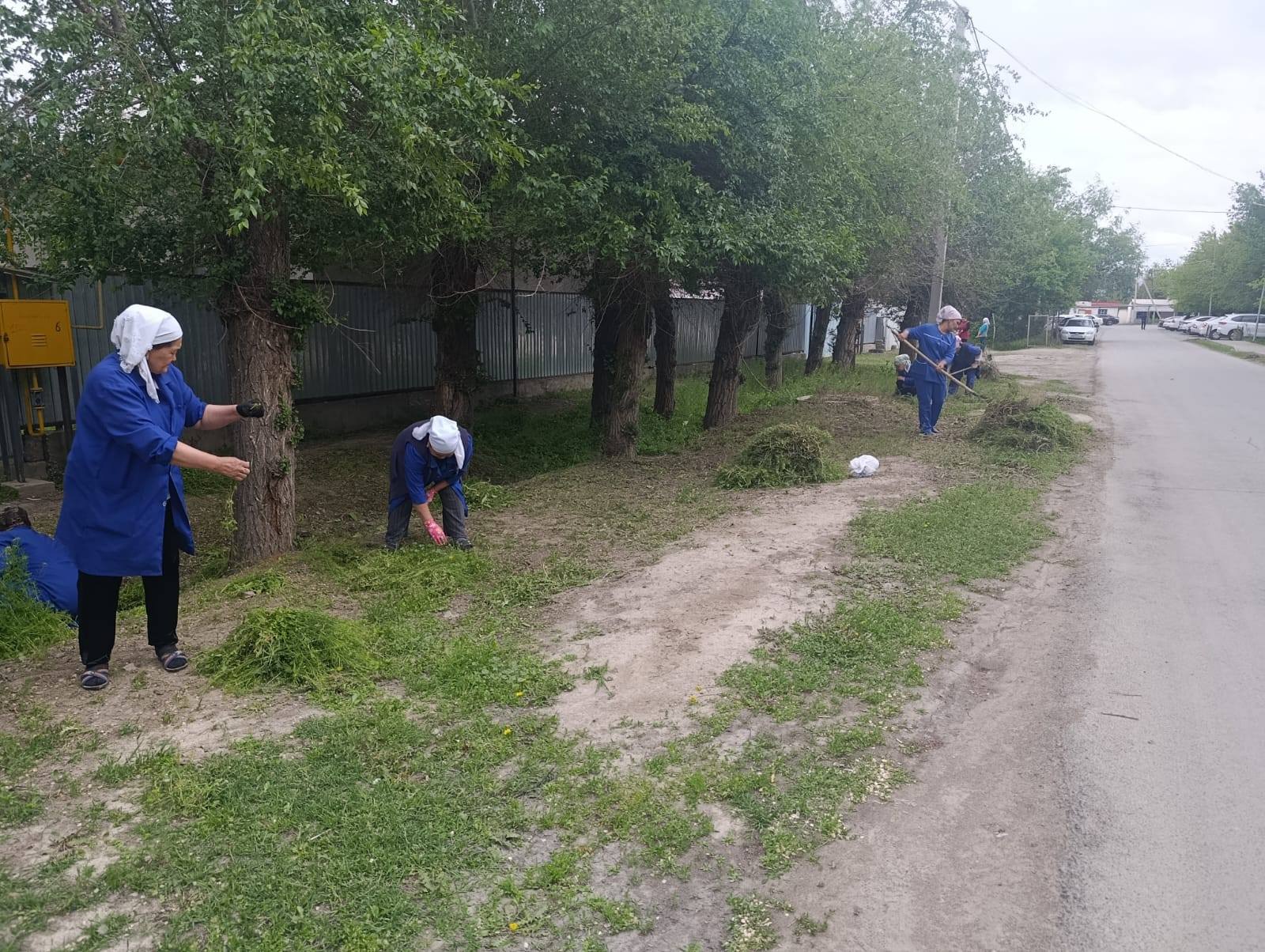 Таза Қазақстан» жалпыұлттық бастамасы аясында