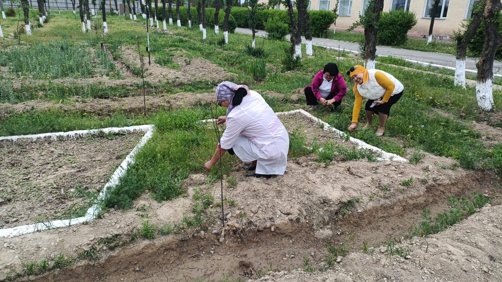 Таза Қазақстан» жалпыұлттық бастамасы аясында