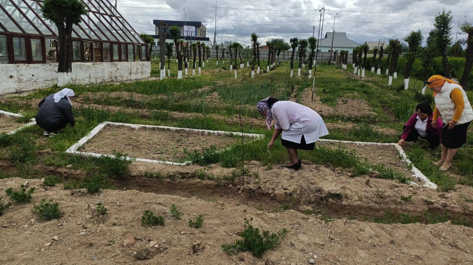 Таза Қазақстан» жалпыұлттық бастамасы аясында